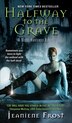 Halfway To The Grave: A Night Huntress Novel