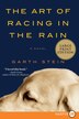 The Art Of Racing In The Rain