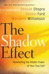 BOOK: The Shadow Effect: Illuminating the Hidden Power…