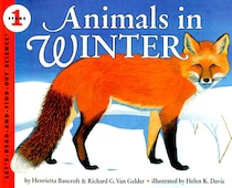 Animals In Winter