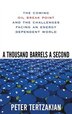 A Thousand Barrels a Second: The Coming Oil Break Point and the Challenges Facing an Energy Dependent World: The Coming Oil Break Point and the…