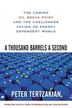A Thousand Barrels a Second: The Coming Oil Break Point and the Challenges Facing an Energy Dependent World: The Coming Oil Break Point and the…
