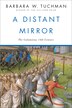 Distant Mirror:  The Calamitous 14th Century