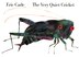 Very Quiet Cricket