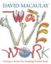 The Way We Work: Getting To Know The Amazing Human Body