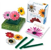 BOOK: A Little Box of Thanks