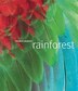 Rainforest
