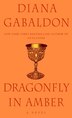 Dragonfly in Amber