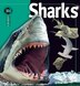 Sharks