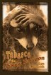 Tabasco the Saucy Racoon