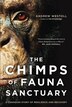book cover art