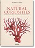 Albertus Seba: Cabinet of Natural Curiosities