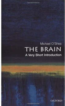 The Brain