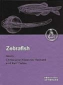 Zebrafish