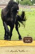 Keystone Stables: Summer Camp Adventure