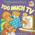 The Berenstain Bears And Too Much Tv