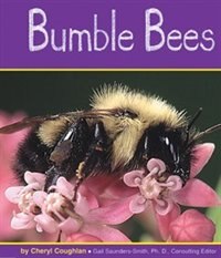 Bumble Bees