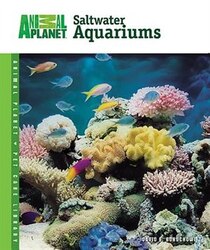 Setup and Care of Saltwater Aquariums