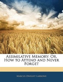 Assimilative Memory