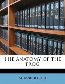 The Anatomy Of The Frog