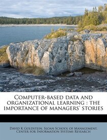 Computer-based Data And Organizational Learning