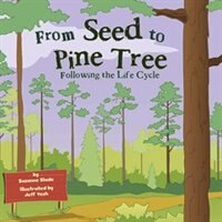 From Seed to Pine Tree
