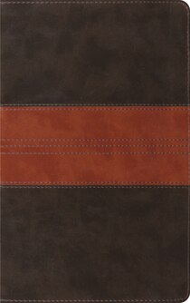 &quot;ESV Thinline Bible (TruTone, Forest/Tan, Trail Des&quot;