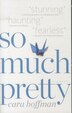 So Much Pretty: A Novel