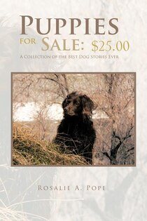Puppies For Sale