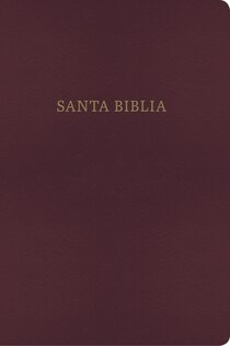 Reina Valera1960/King James Version-Imitation Leather-Burgundy