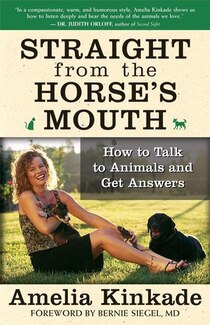 Straight From the Horse''s Mouth