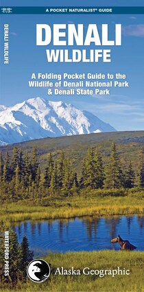 Wildlife of Denali National Park