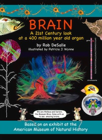 Brain