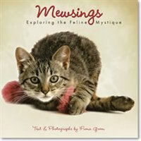 Mewsings