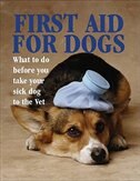 First Aid For Dogs: What To Do Before You Take Your Sick Dog To The Vet