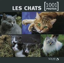 Chats en 1001 photos