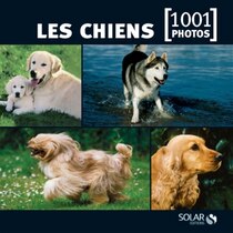 Chiens en 1000 photos