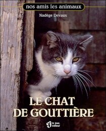 Chat de gouttière